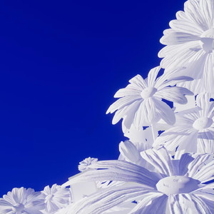 性别自由凸轮管中国2023
